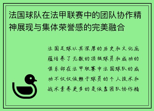 法国球队在法甲联赛中的团队协作精神展现与集体荣誉感的完美融合